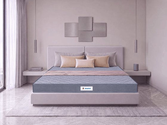 Sleepwell Fitrest Premium